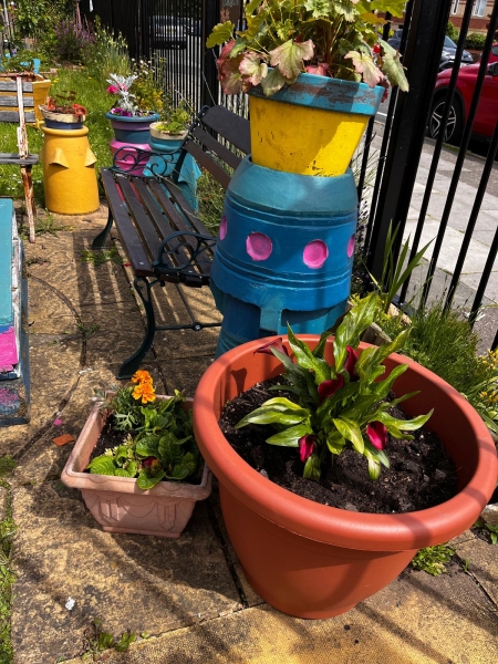 Pakistan Association Liverpool Wellbeing Garden